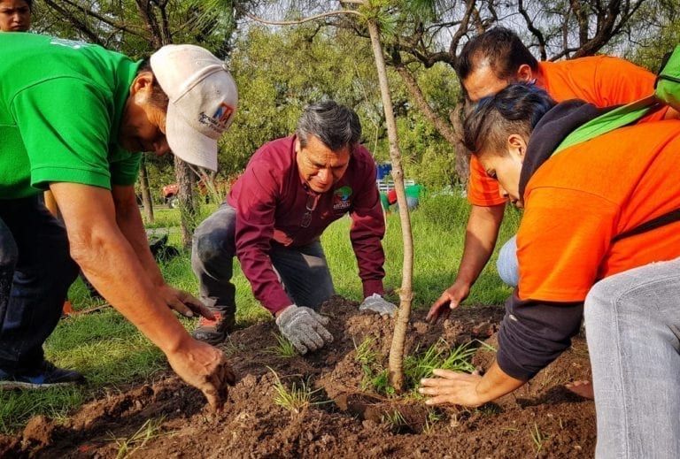 Continúan las jornadas de reforestación en Cuautitlán Izcalli
