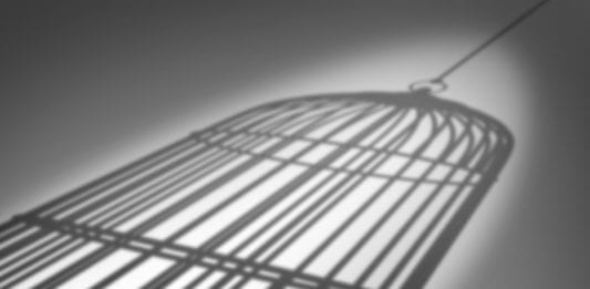 El zoológico que recibía más de un millón de visitantes