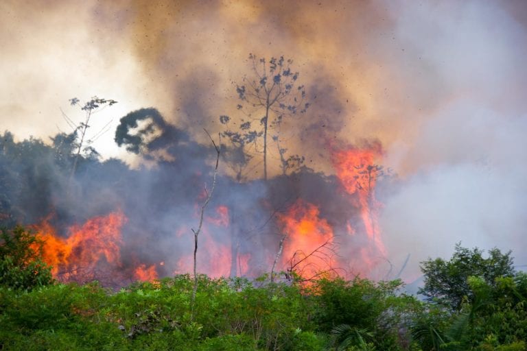 Incendio consume El Amazonas