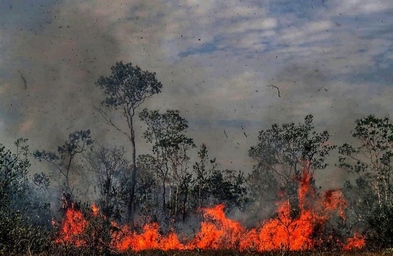Prohíben temporalmente las quemas en Brasil