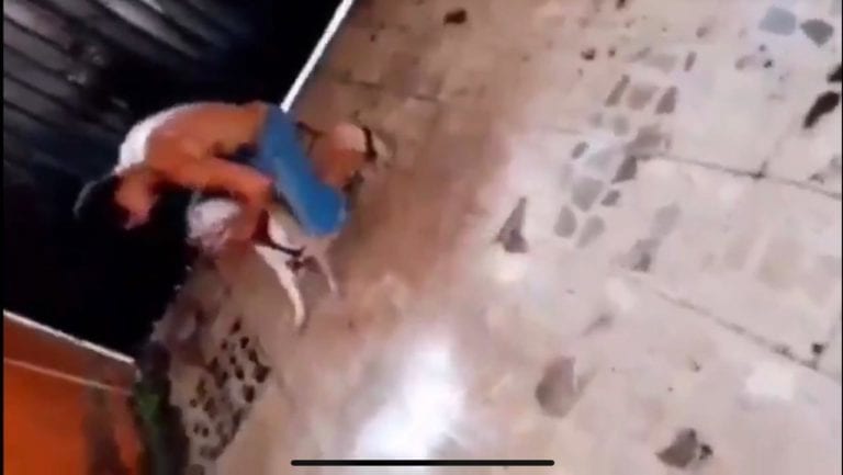 Vinculan a proceso por maltrato animal al sujeto que golpeó a su perra pitbull en Iztapalapa