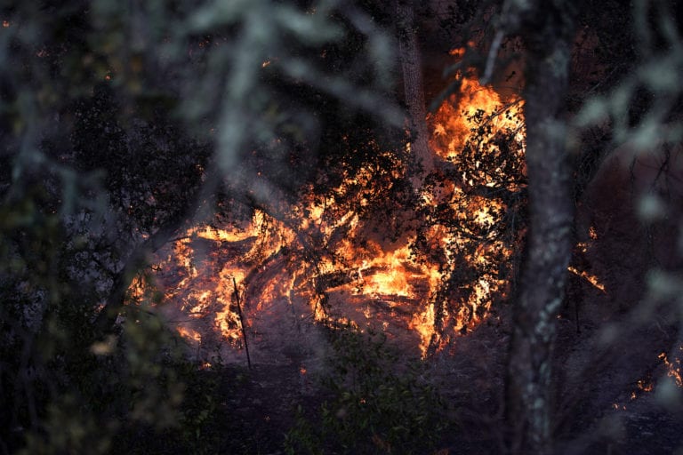 Se reavivan los incendios en Baja California