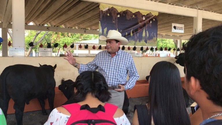 Ganaderos respalda acciones para combatir el trasiego de ganado proveniente de Centroamérica