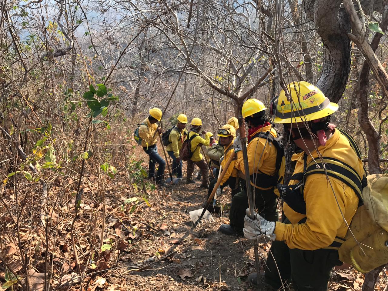 Conafor Registra 69 Incendios Forestales Activos En 18 Estados Del País