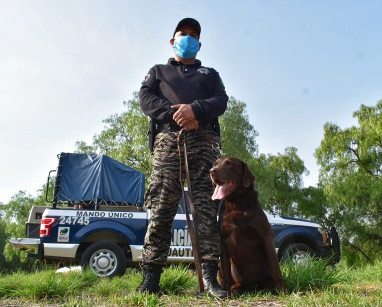 Dos perros más se integran a la Unidad Canina de Izcalli para reforzar la seguridad en el municipio.