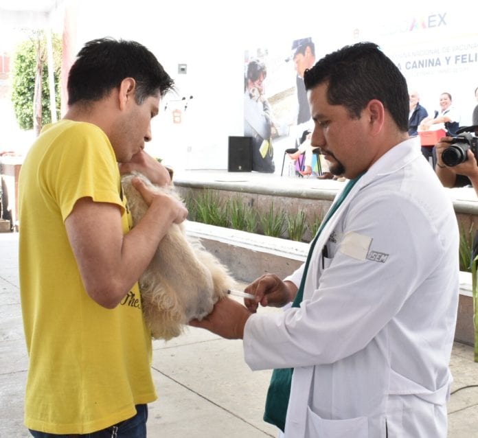 Jornada Nacional de Vacunación Canina y Felina