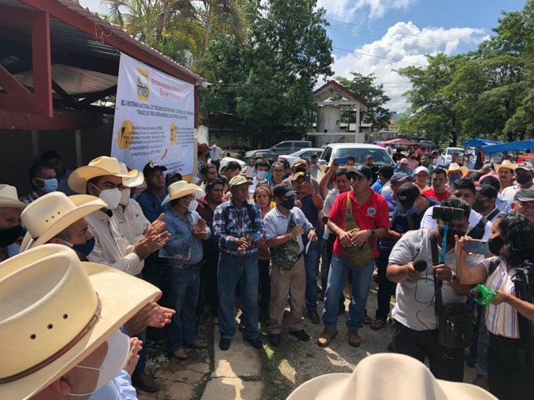 Necesario garantizar la identificación de ganado para mantener sanidad  y exportaciones de ganado y carne de bovino