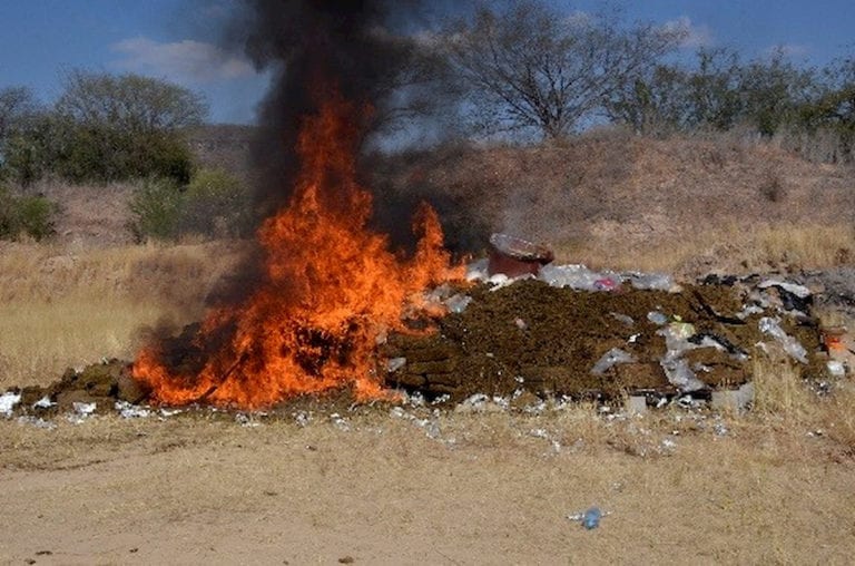 FGR incineró más de 110 toneladas de precursores químicos y drogas en Sinaloa