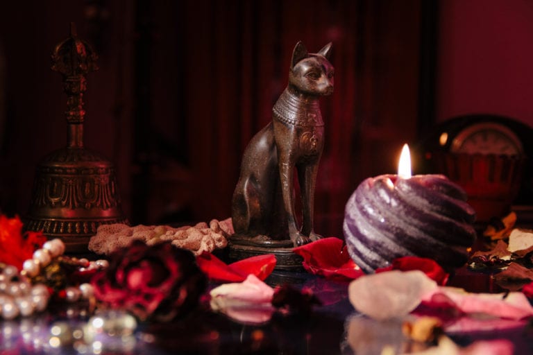 Gatos, ¿por qué los usan en rituales?
