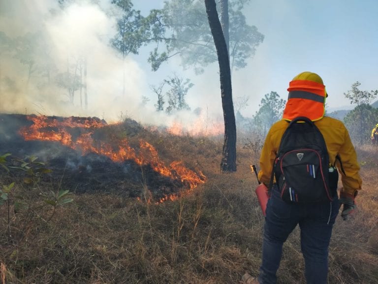 Estiman temporada crítica de incendios forestales