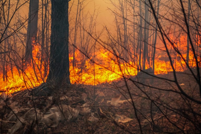 Desalojan a miles de personas por incendios forestales en EUA