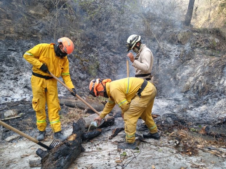 Controlan incendio forestal en Nuevo León