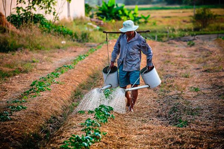 Conagua reconoció “huachicoleo” en el sector agrícola