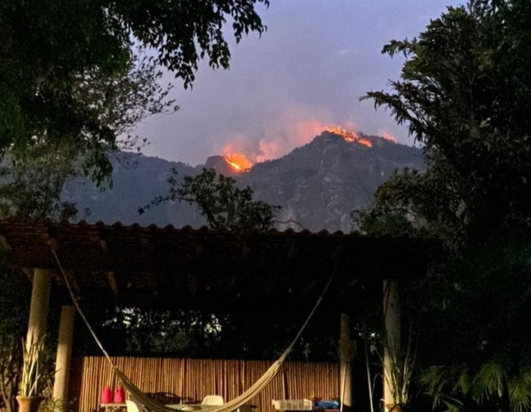 50 hectáreas afectadas por incendio en el cerro del Tepozteco