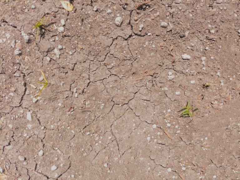 80% del territorio en México cuenta con algún grado de sequía