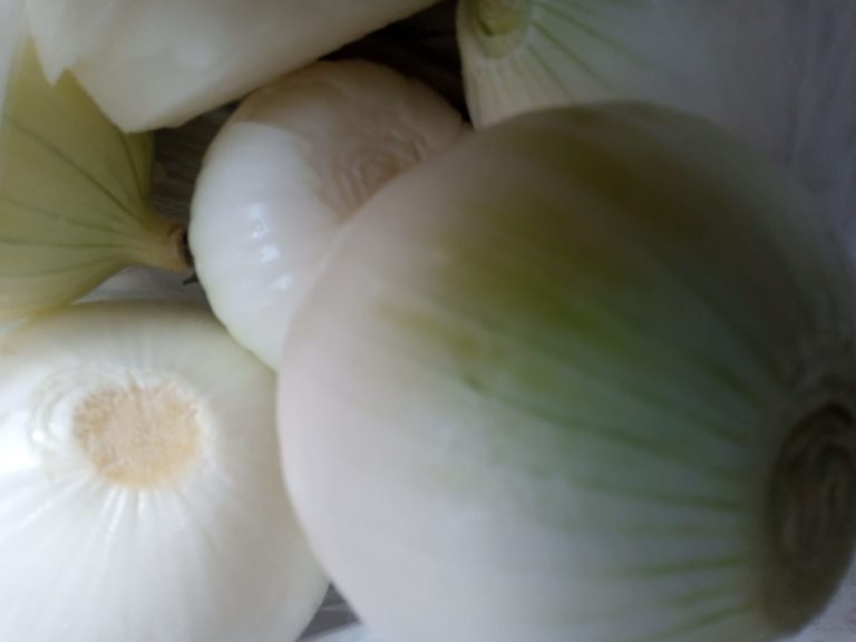 Alerta en EE.UU por brote de salmonelosis atribuido a cebolla mexicana