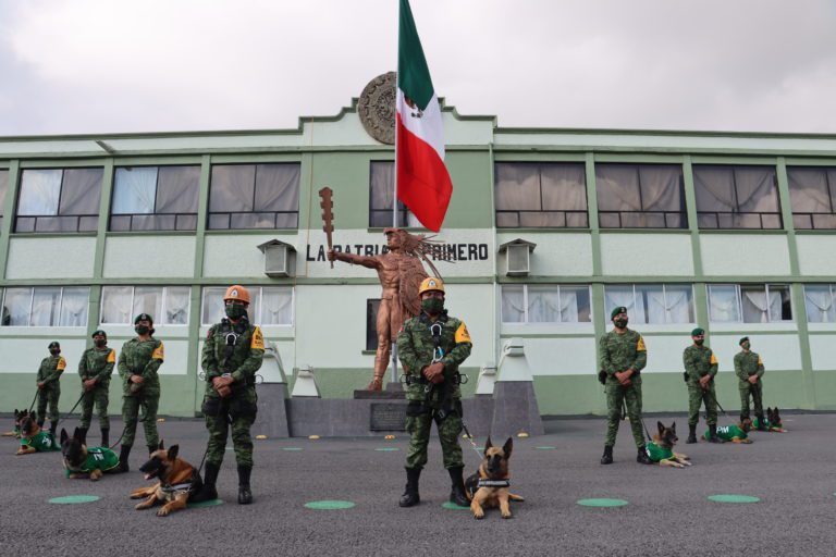 Ejército mexicano entrena cada año hasta 400 perros para labores de seguridad y rescate