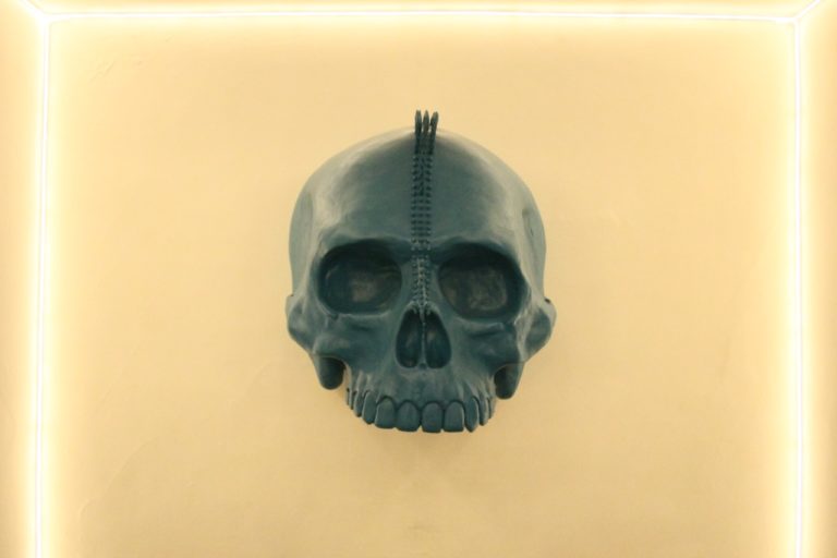 Exposición Skulls & Art, continúa cautivando a asistentes