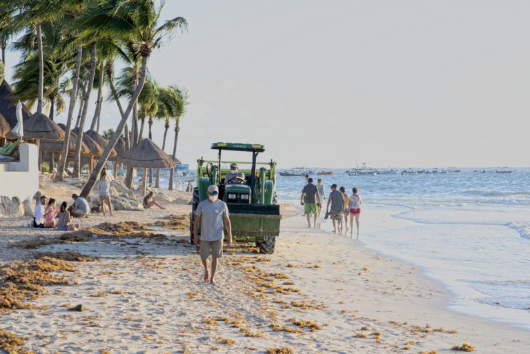 Sargazo llega a las playas de Quintana Roo