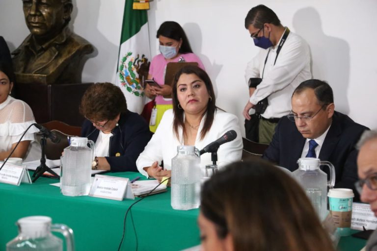 Prioriza Berenice Hernández reactivación económica para Tláhuac