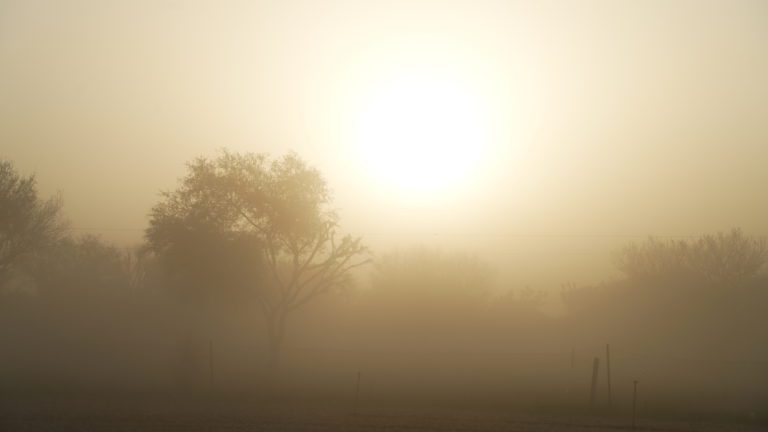Nube de polvo del Sahara cubre Yucatán y atravesará más estados mexicanos