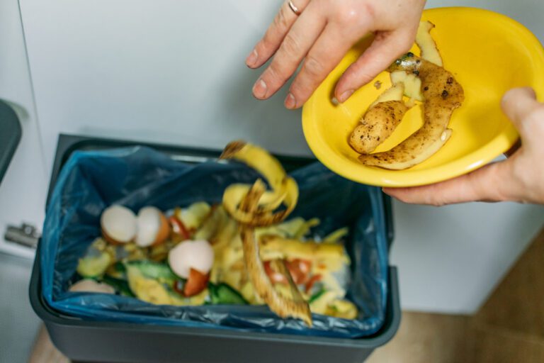 Lo que debes saber para evitar el desperdicio de alimentos en casa