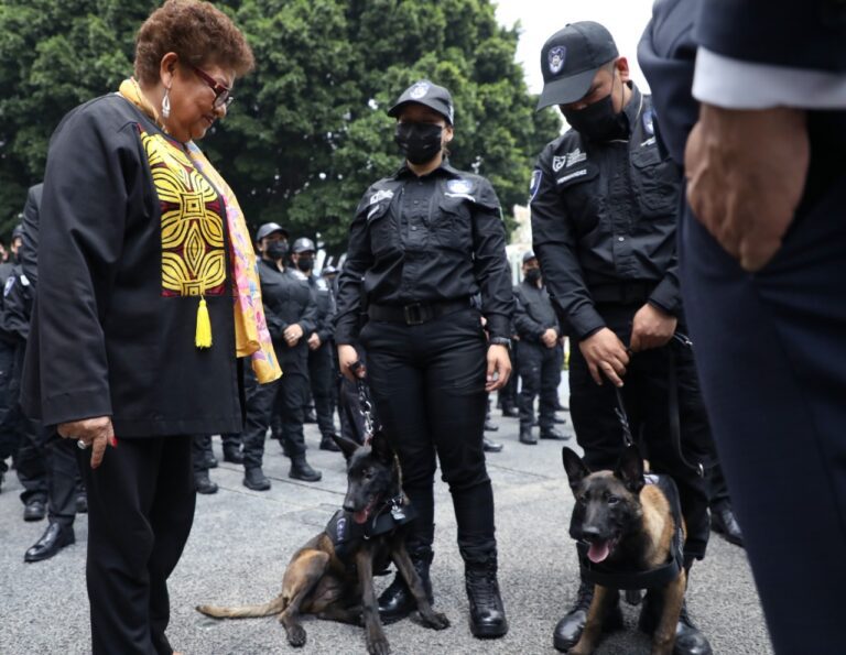 La Fiscalía de la CDMX ya cuenta con una “Unidad Especial Canina”
