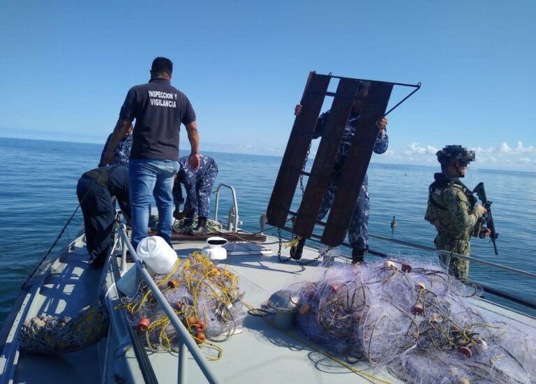 Se ejecuta operación de inspección y vigilancia por levantamiento de la veda de camarón en Sinaloa
