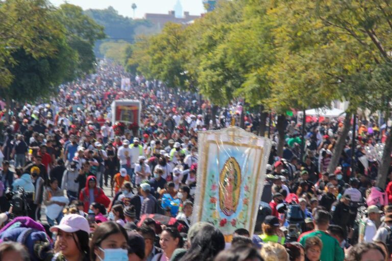 Arquidiócesis destaca peregrinaciones hacia la Basílica de Guadalupe como un acto de resistencia
