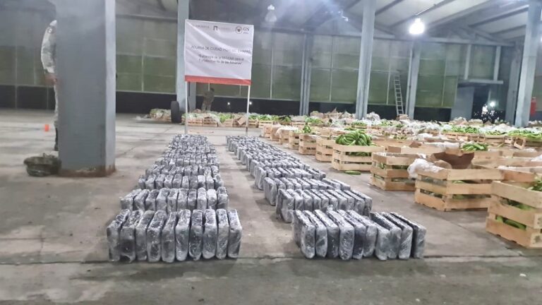 Ejercito incautó más de 274 kg de cocaína en Chiapas