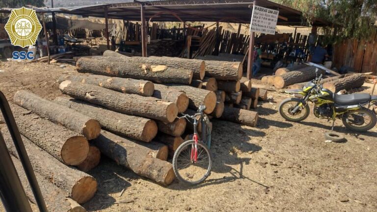 Autoridades clausuran bodega clandestina de madera en Tláhuac