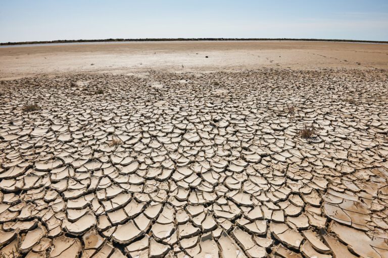 Alrededor de 200 comunidades de Sinaloa, padecen sequía