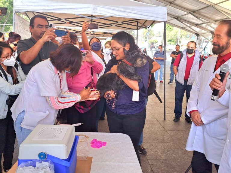 Arranca campaña de vacunación antirrábica y felina en la CDMX