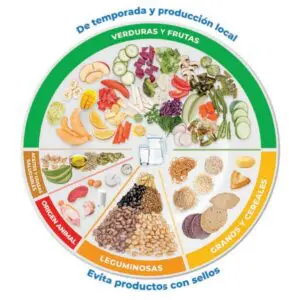 Alcances del Plato del Bien Comer e insuficiencias en las guías ...