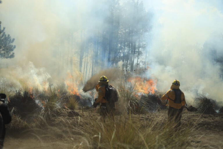 Personas provocan 100% de incendios forestales; llaman a prevenirlos