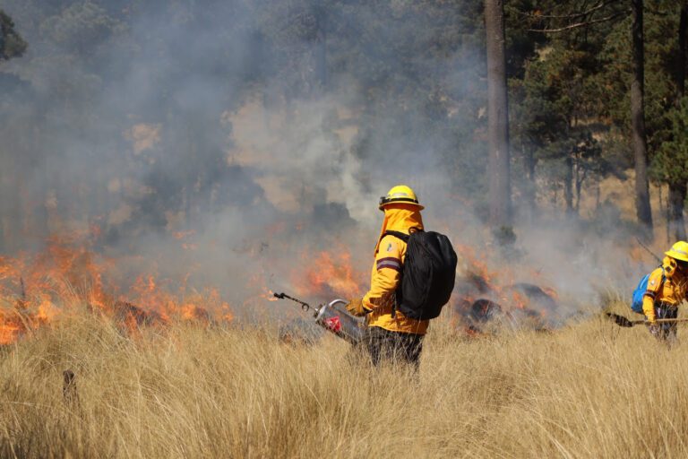 Logran reducir tiempo de atención y duración de incendios forestales en CDMX