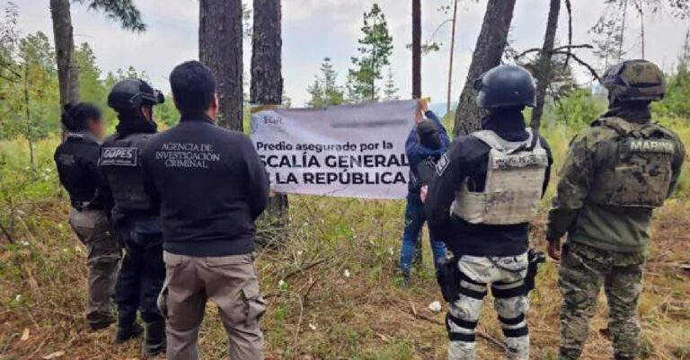 Profepa y FGR aseguraron un predio forestal en Tlaxcala por tala clandestina