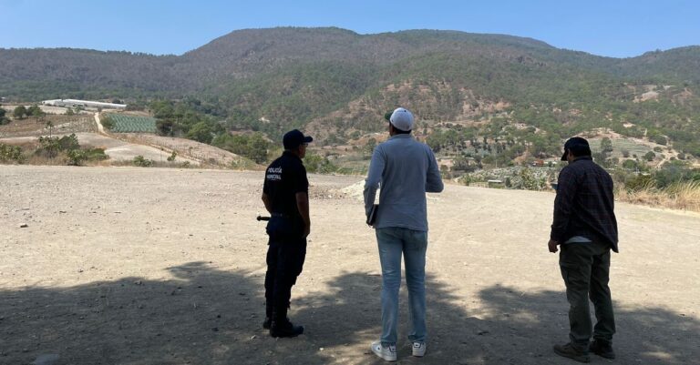 Profepa investiga la presunta presencia de pumas en municipio de Oaxaca