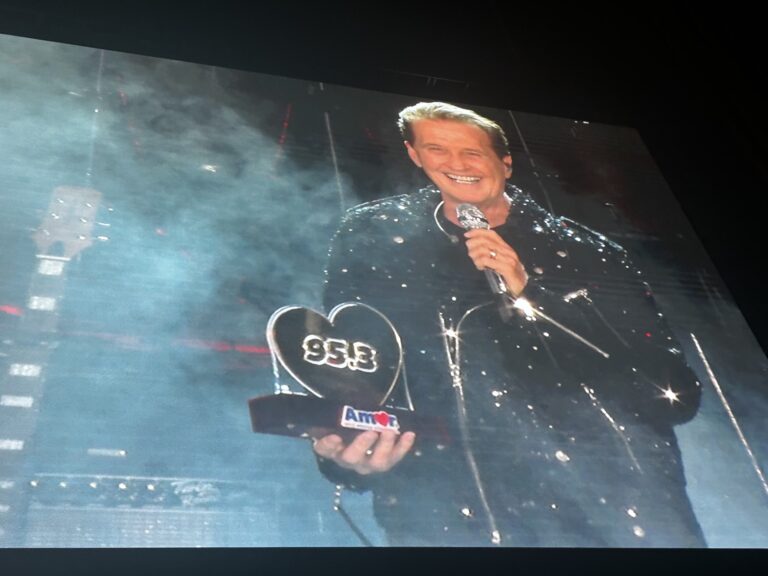 Emmanuel suspende concierto por influenza