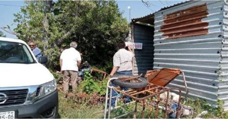 Profepa suspendió construcción irregular de viviendas en el Puerto de Sisal