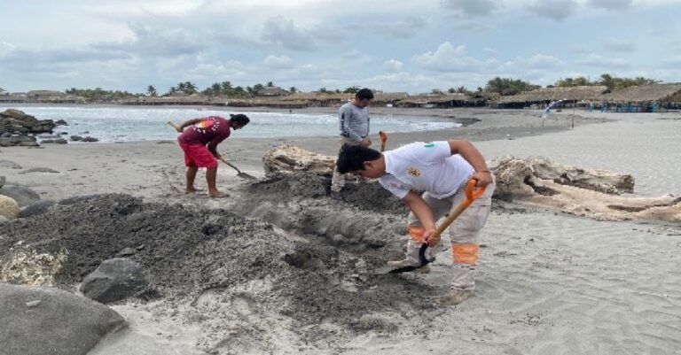 Analizan causas de muerte de un delfín varado en Tapachula, Chiapas