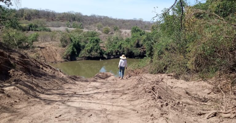 Suspenden construcción en Culiacán por devastar flora y arroyos