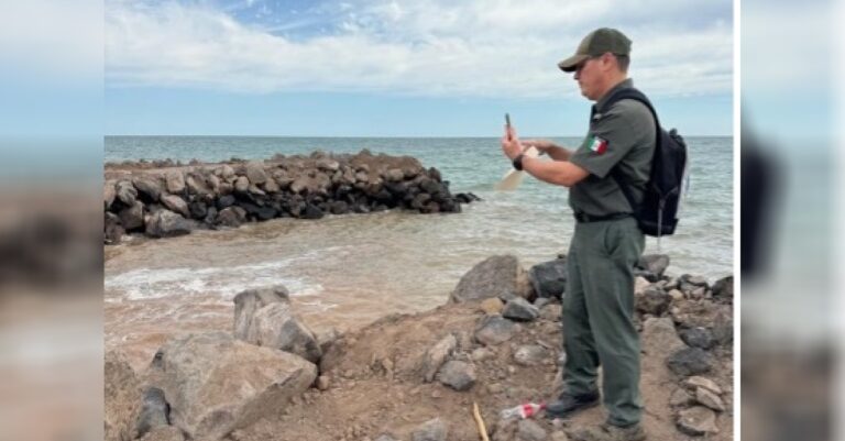 Profepa clausura construcción de escollera en playa de Sonora