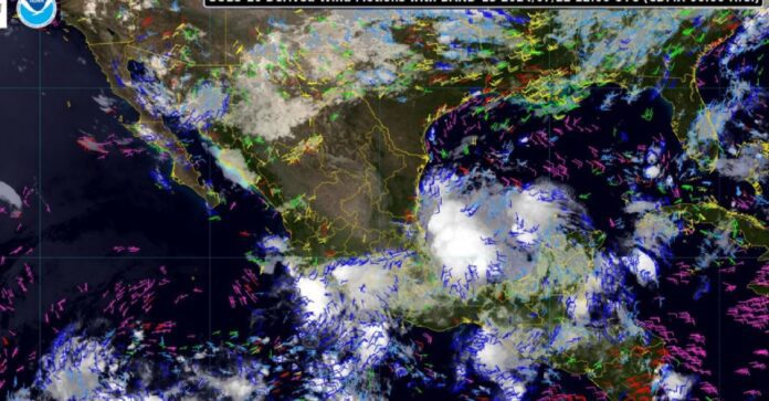 Proyecto nuevo - 2024-07-22T082535.759