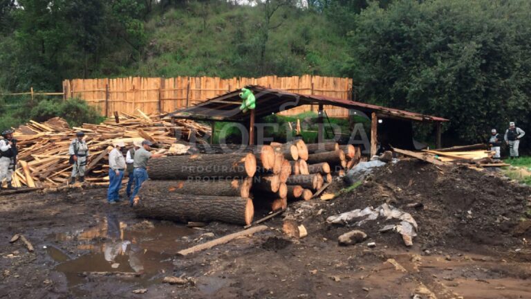 Profepa desmantela aserradero ilegal en Huitzilac, Morelos