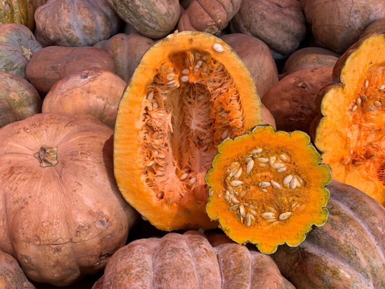 Calabaza y camote.