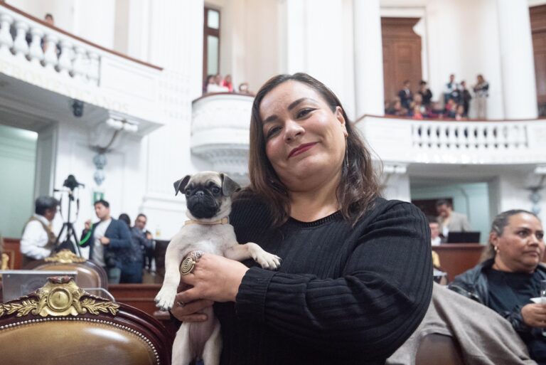 Buscan que mascotas puedan entrar libremente a establecimientos mercantiles