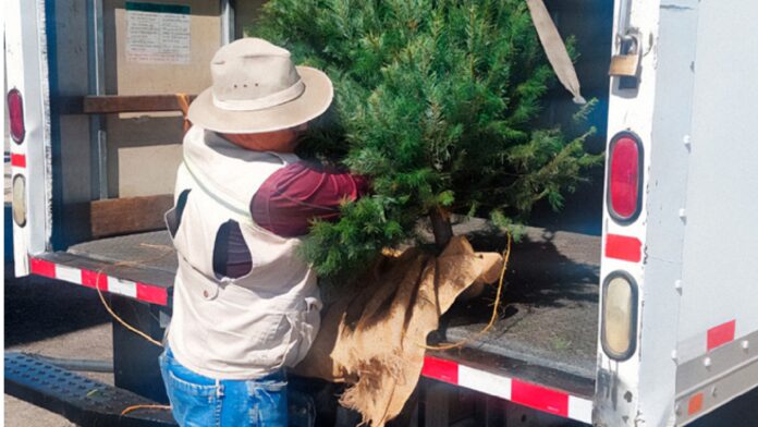 Proyecto nuevo - 2024-11-03T133244.413