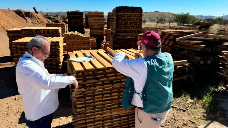 Profepa y Ejército cierran 11  aserraderos ilegales en zonas forestales críticas