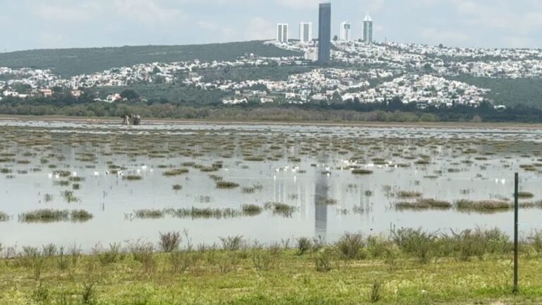 Municipio de León espera aprobación de Conagua para descargar agua tratada en la presa “El Palote”